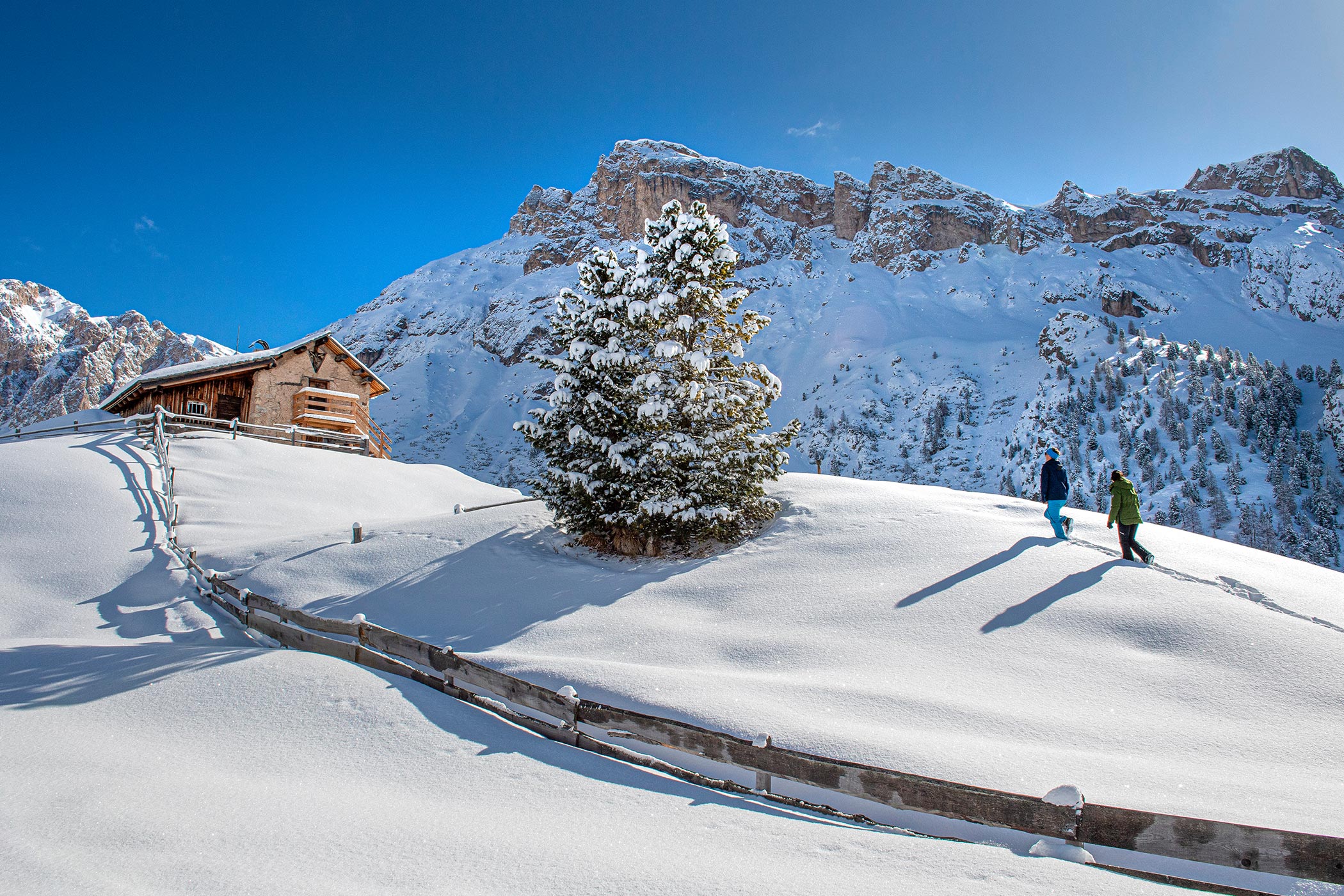 Stunning views of the Sassolungo from our house